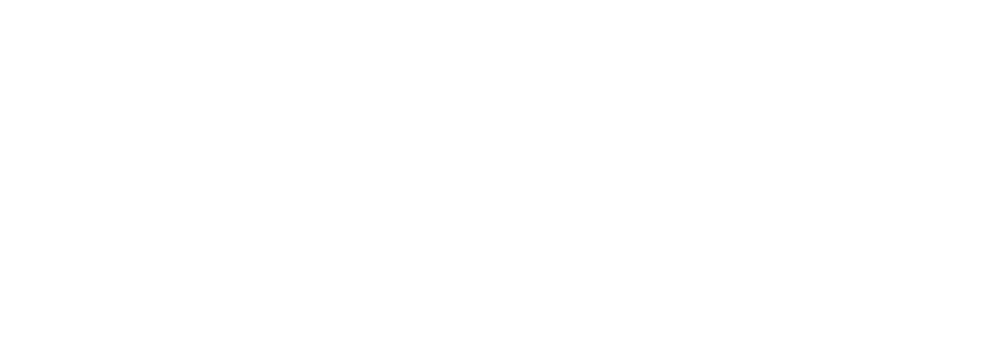 SilverSlipper white