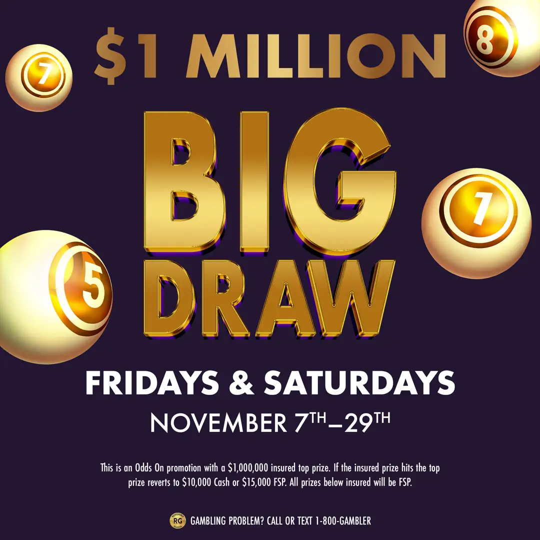 1 Million Big Draw
