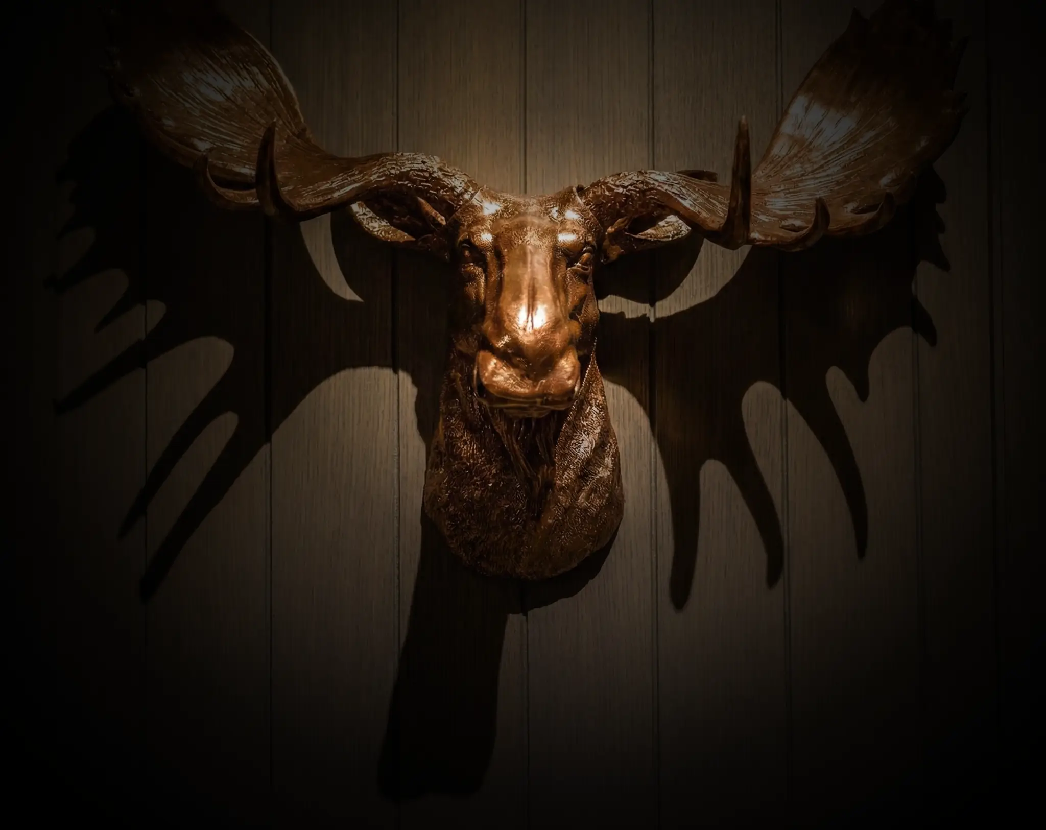 Moose
