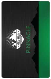 PINNACLE